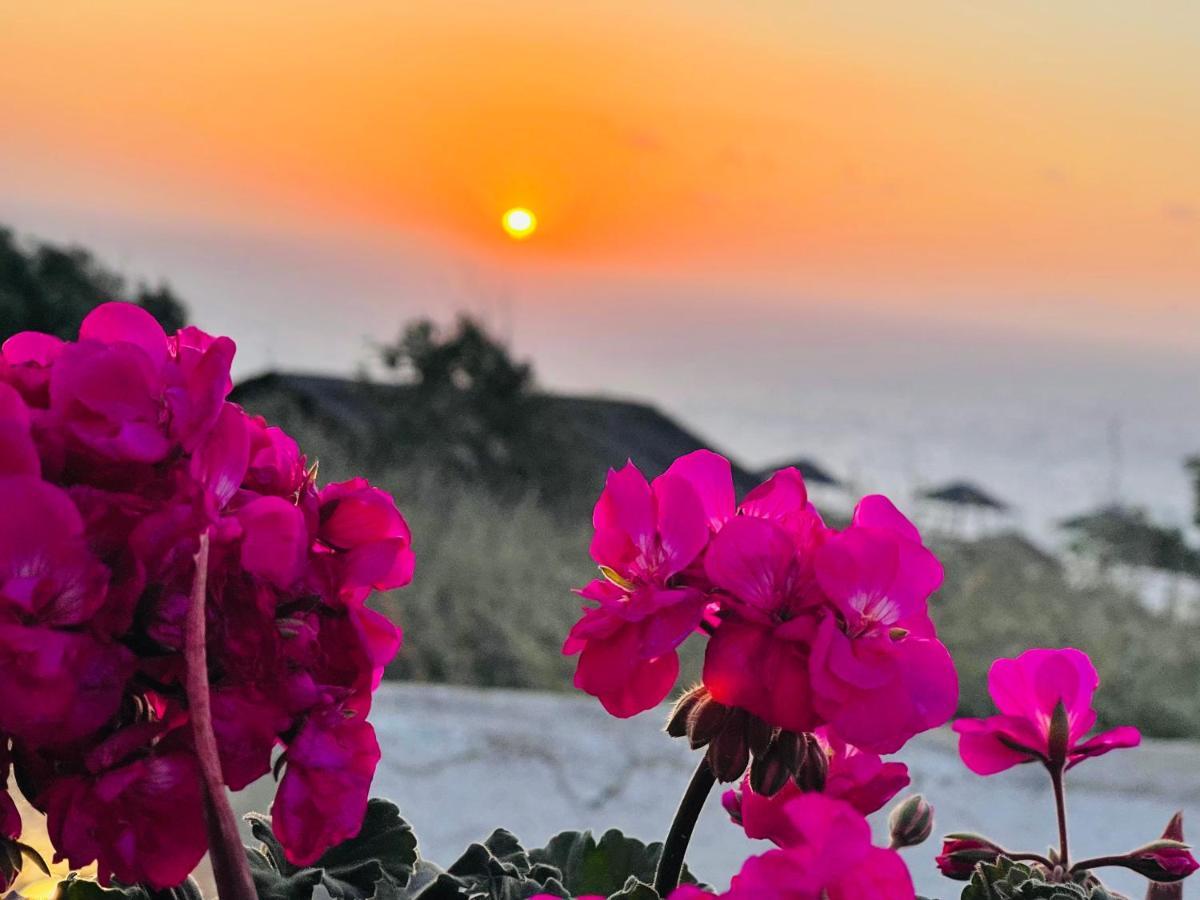 הוילה Oia Sunset House Pothitou מראה חיצוני תמונה